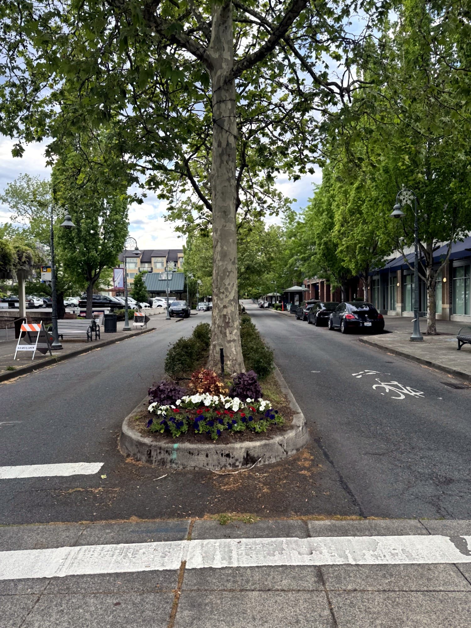 Hanging flower baskets in downtown Mercer Island